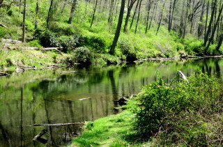 White Trail Little Gunpowder