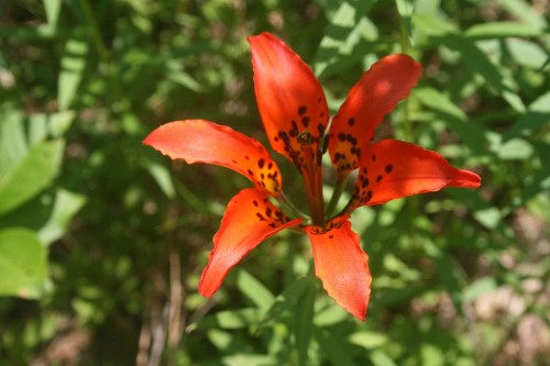 IMG_20260716_27458.jpg