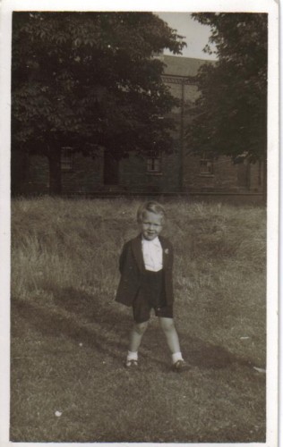 dadio 1951.