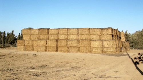 Dori, i love hay. so here's some.